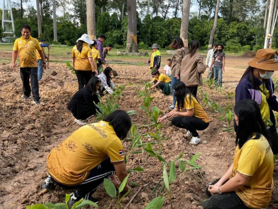 เทศบาลตำบลสำโรง ได้ดำเนินการปลูกผักสวนครัว เพื่อสร้างความมั่นคงทางอาหาร บริเวณสำนักงานเทศบาล (30 ภาพ)