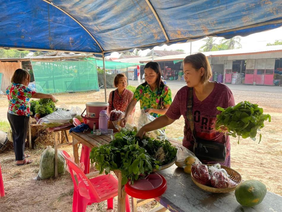 ตรวจเยี่ยมตลาดนัดท้องถิ่นสีเขียว